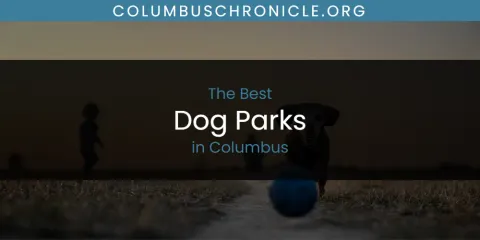 The Absolute Best Dog Parks in Columbus