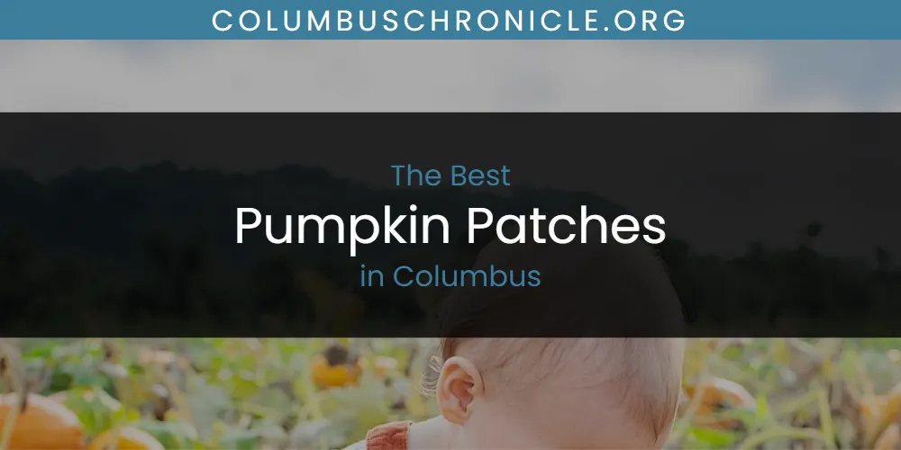 The Absolute Best Pumpkin Patches in Columbus  [Updated 2025]