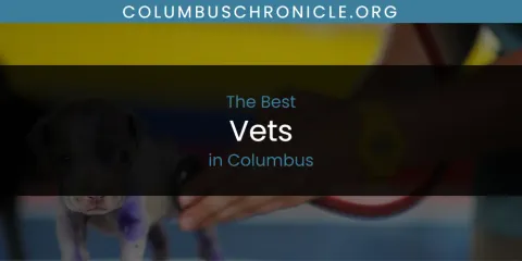 Best Vets in Columbus: Our Expert Picks
