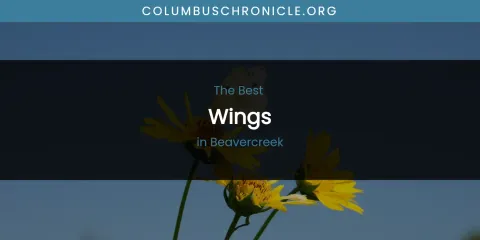 The Absolute Best Wings in Beavercreek